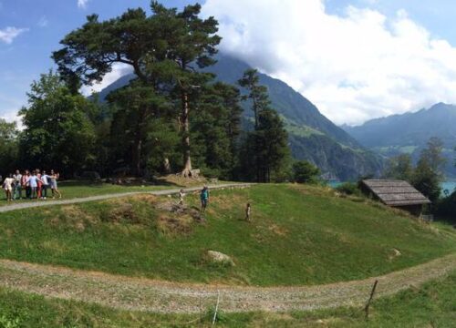 Ateliers et activités d’intégration